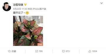 最新爆料锦集,独家内幕大公开! 第2张 最新爆料锦集,独家内幕大公开! 第2张